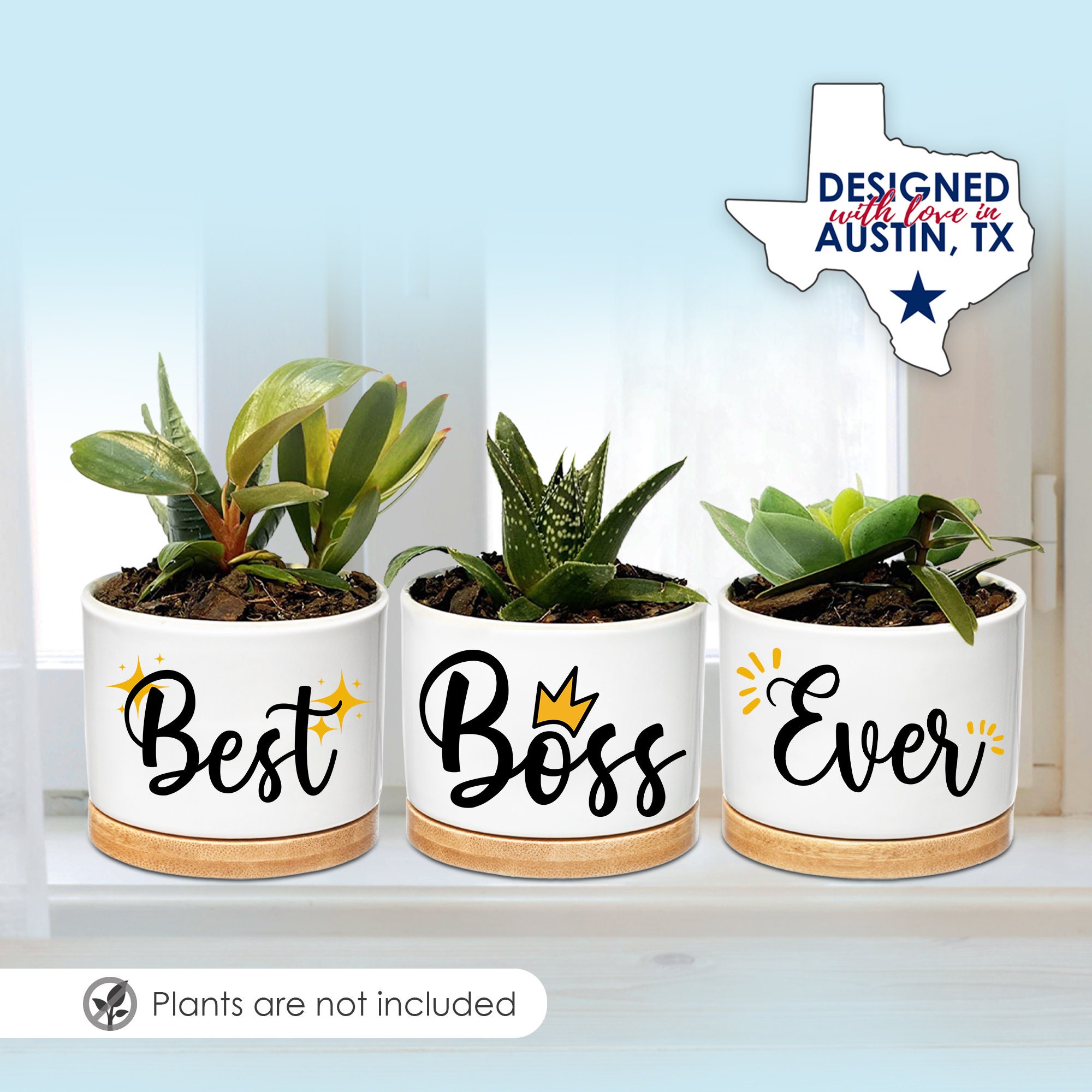 Boss Planters Boss Lady Gifts for Women Best Boss Gifts for Etsy