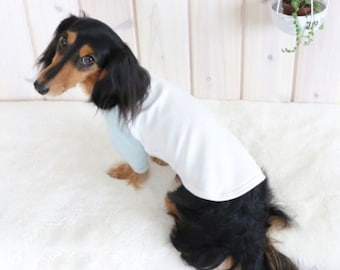 All season Cotton shirt for small dogs and puppy