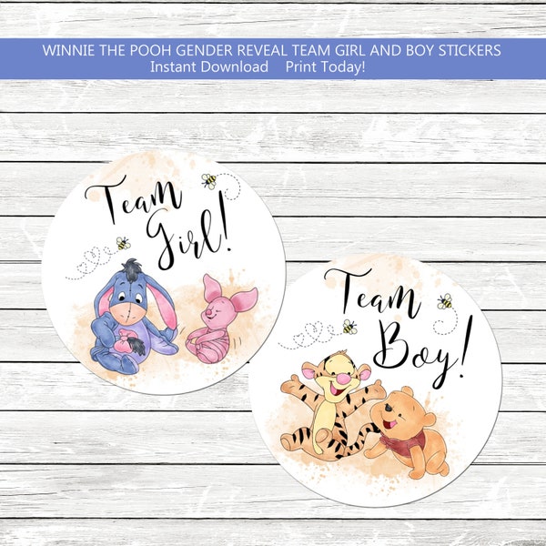 Winnie the Pooh Team Boy Team Girl Gender Reveal Stickers What Will Our Hunny Bee Gender Reveal A Little Hunny INSTANT DOWNLOAD PRINTABLE hp