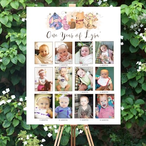 Winnie de Poeh 1e verjaardag mijlpaal foto teken/poster sjabloon 12 maanden foto bord verjaardag bord afdrukbare BEWERKBARE INSTANT DOWNLOAD