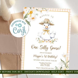 May include: A printable invitation for a first birthday party with a cute cartoon goose wearing a straw hat and surrounded by daisies. The invitation is pink and white gingham with the text "Maggie is One Silly Goose!" and details for the party.