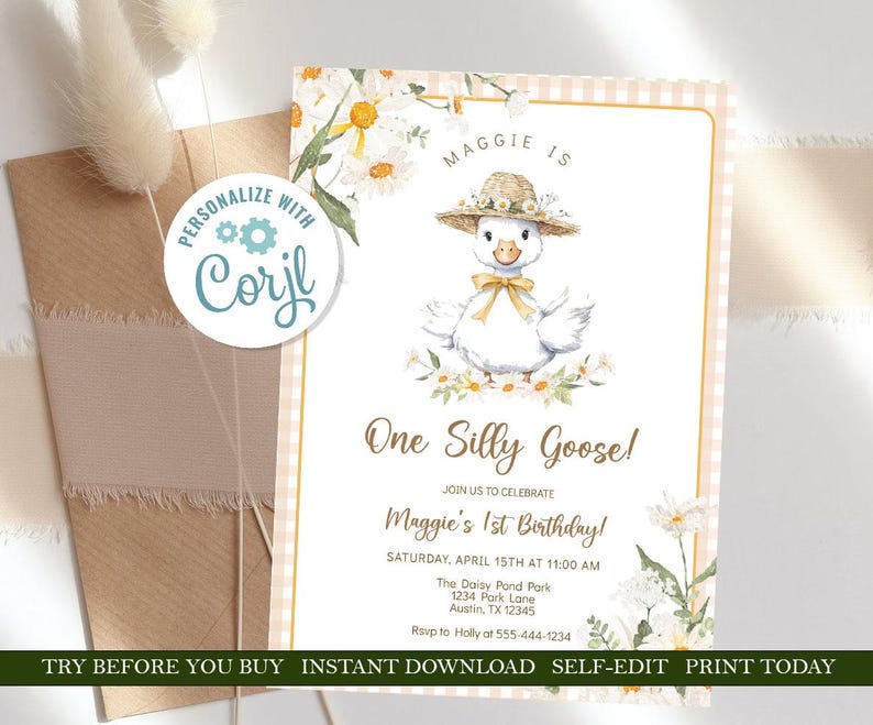 May include: A printable invitation for a first birthday party with a cute cartoon goose wearing a straw hat and surrounded by daisies. The invitation is pink and white gingham with the text "Maggie is One Silly Goose!" and details for the party.