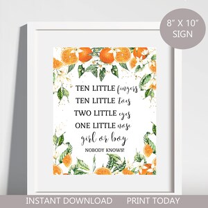 A Little Cutie is on the Way Ten Little Toes Gender Reveal Sign, Clementine Ten Little Toes, Orange Baby Shower, Instant Download d1