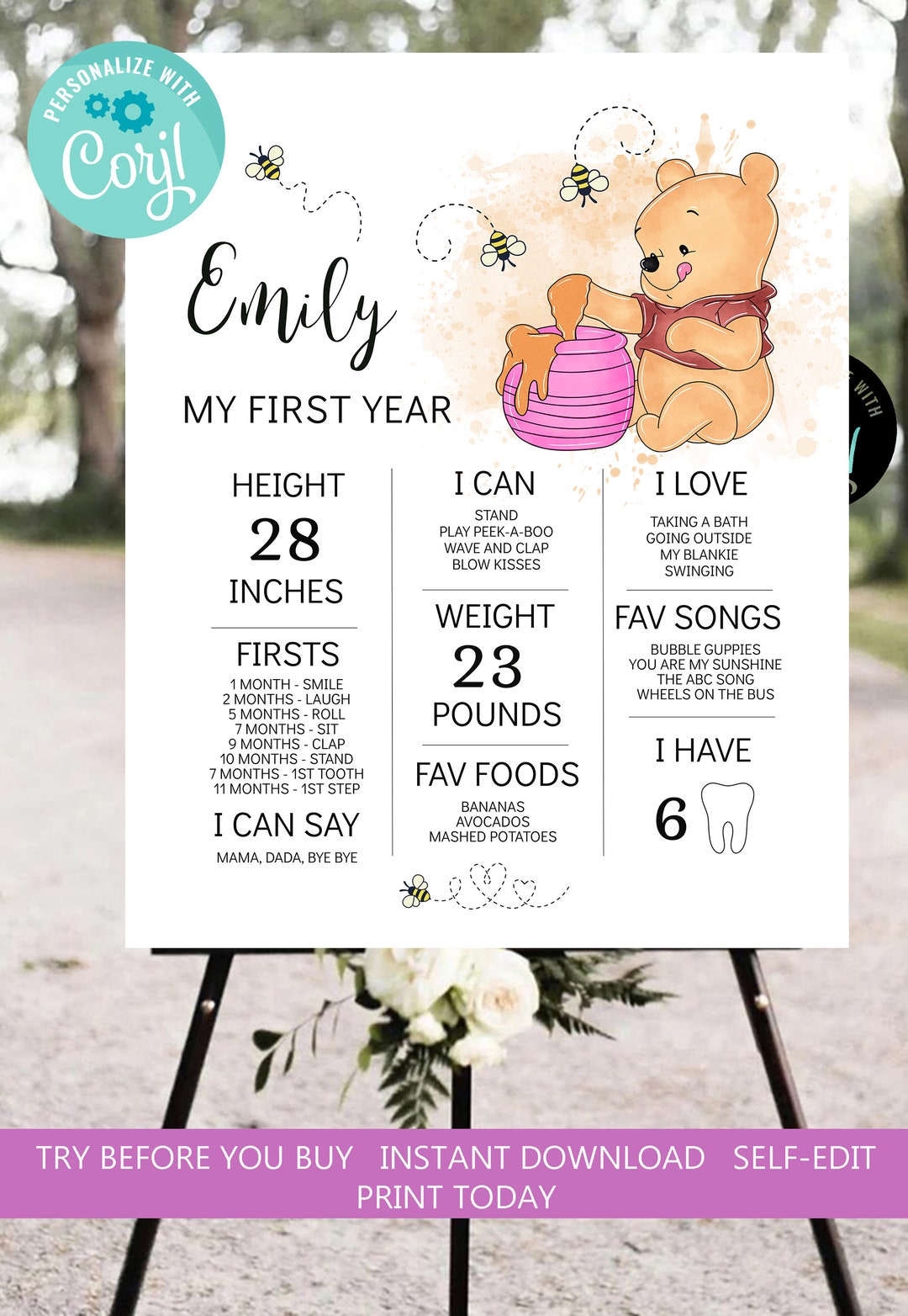 Winnie the Pooh 1st Birthday Milestone Board, EDITABLE (digital ...