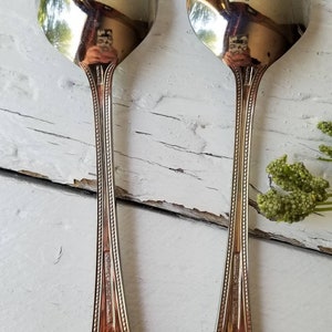 Cuisinart Serving Fork Or Spoon Beaded Stainless 18/10 Serving Utensils CUI8 Bead Handle Meat Fork & Pierced Slotted Spoon 4 Available Slotted Serving