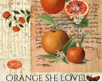 Orange Nature Digital Kit – Vintage Botanical Ephemera (Digital Download)
