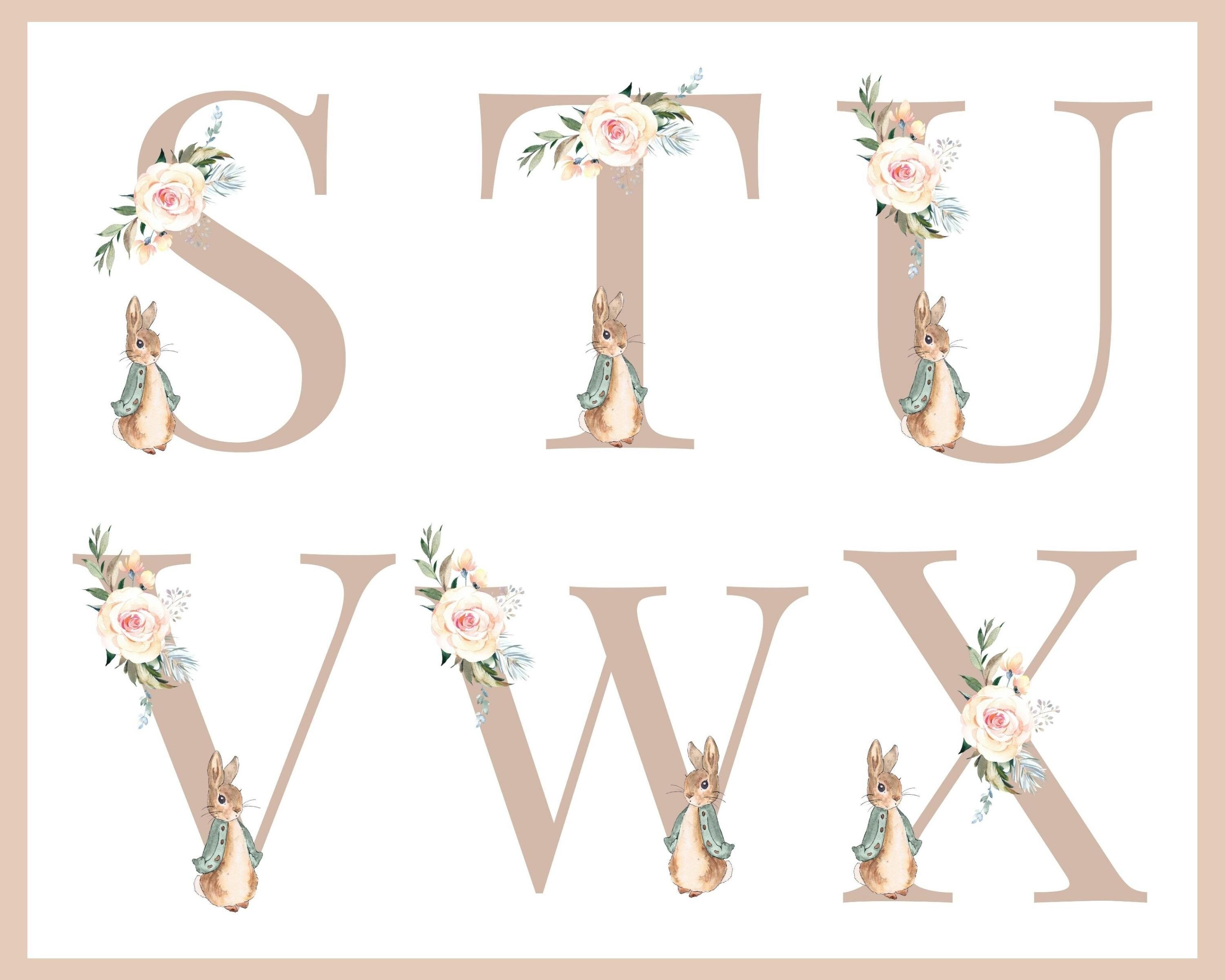 Peter Rabbit Sign Abc Instant Download, Printable PNG, Peter Rabbit Floral Alphabet ...