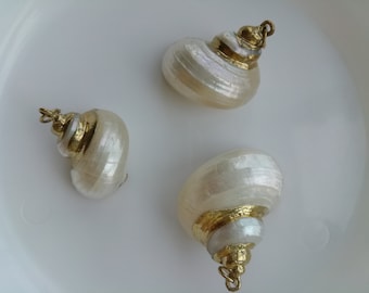 Diy Conch Shell Etsy
