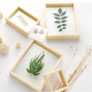 May include: Set of four wooden picture frames with glass fronts, each featuring a different pressed leaf or flower specimen. The frames are arranged on a white surface.