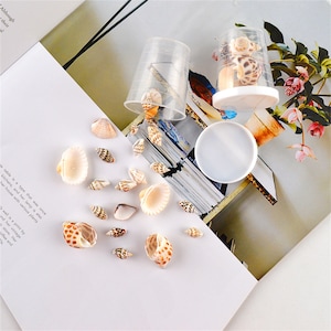 15g/Box Conch Shells for Resin Epoxy Crafts