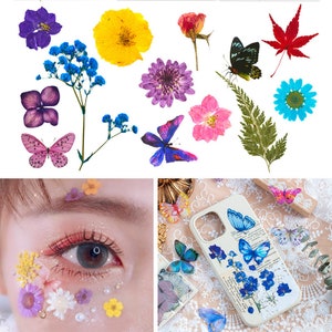 May include: Assortment of pressed flowers and butterflies, including blue, purple, yellow, pink, and red flowers, as well as green leaves and a maple leaf. The flowers and butterflies are arranged on a white background.