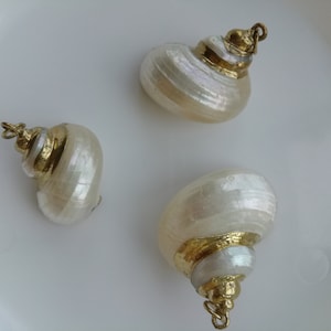 Wholesale White Natural Conch Shell Pendants, 22mm/26mm/34mm, DIY Jewelry Making Supplies