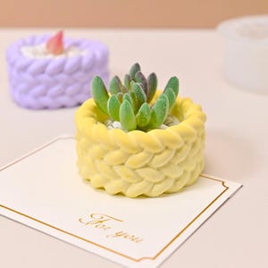 Puede incluir: Una maceta amarilla con textura trenzada contiene una pequeña planta suculenta con hojas verdes y guijarros blancos. Una tarjeta con las palabras "For you" está frente a la maceta. Otra maceta morada con textura trenzada está en el fondo.