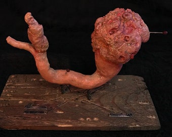 Può includere: Un modello anatomico di un organo umano, di colore rosa e texture, montato su una base di legno con spilli metallici. Il modello ha la forma di un tubo lungo e sottile con un'estremità bulbosa.