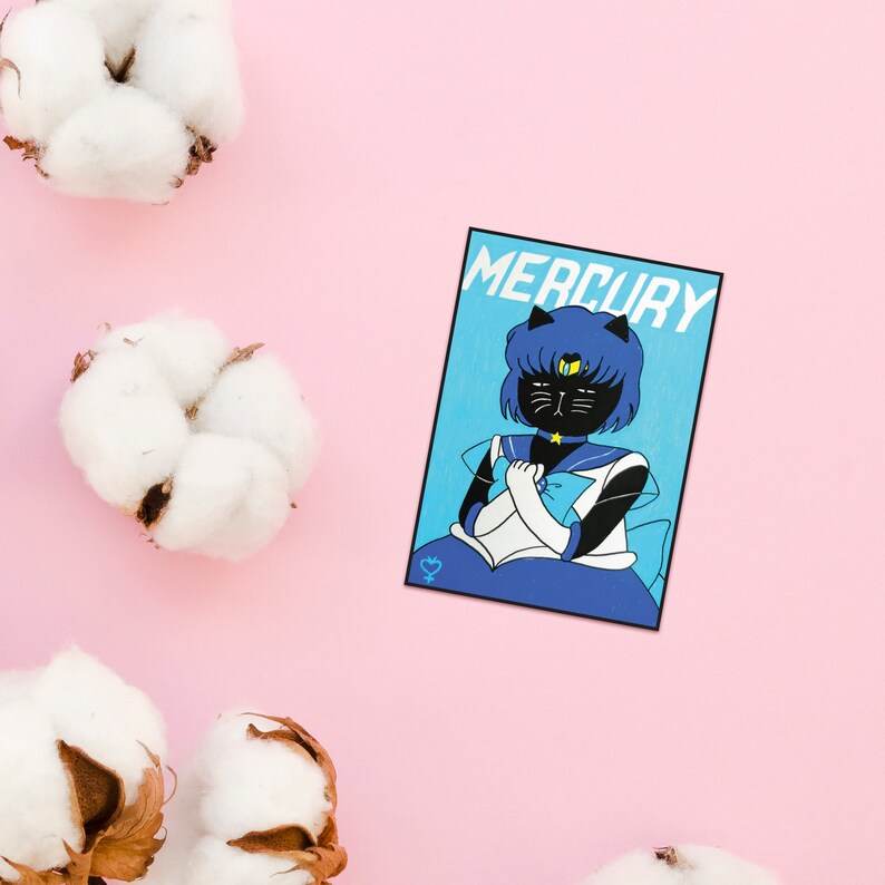 sailor meow