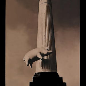 Impresión de póster de la gira de conciertos de Pink Floyd de 1977