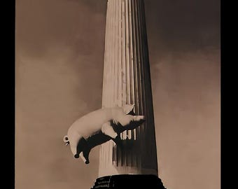 Pink Floyd 1977  Concert Tour Poster Print