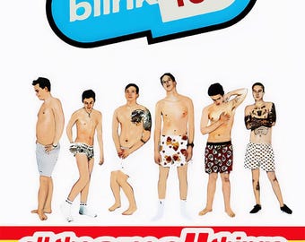 Blink 182 Vintage Promo Poster print