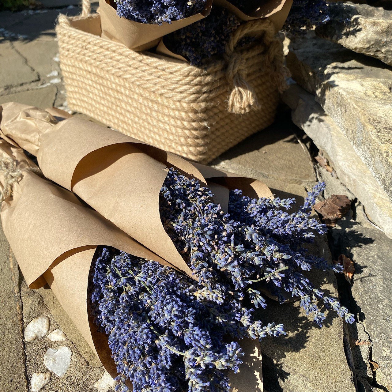 1 Real Dried Lavender Bouquet for Wedding and Home Decor / Etsy