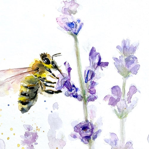 Honey Bee and Clover Watercolor Print Art Print Flower Art - Etsy