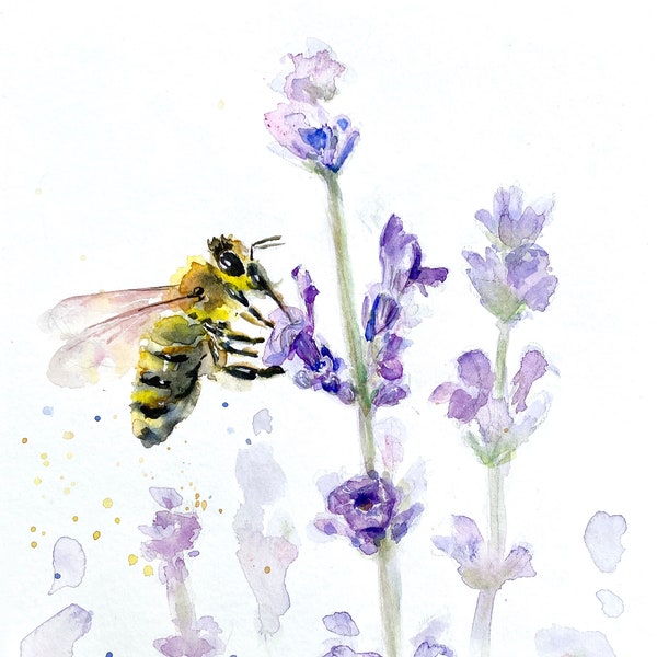 Honey Bee and Lavender  Art, Watercolor Print, Art Print, Flower Art, Honey Bee, Lavender