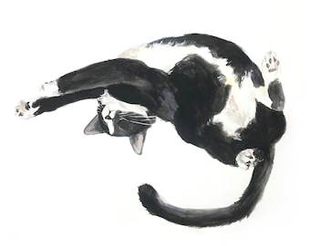 Cat Artwork, Aquarelle Print, Sleeping Cat Pose Two, Cats, Art Print, Cat Artwork Fine Art