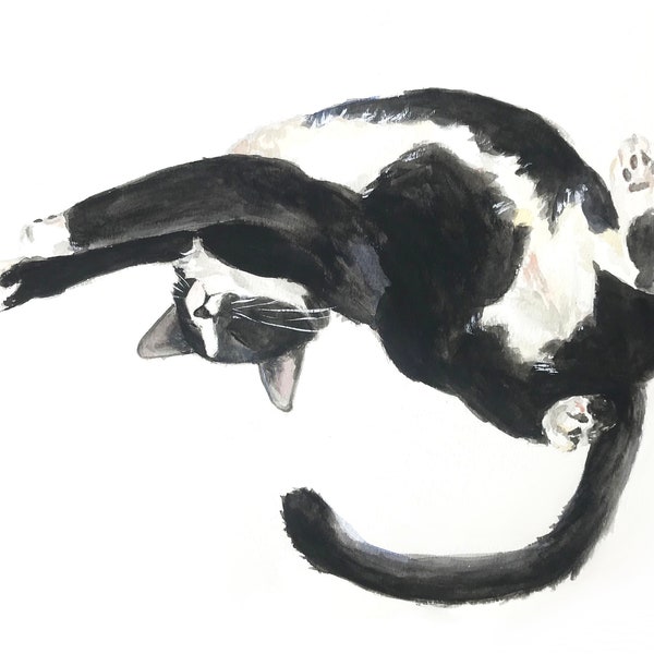 Katze Kunstwerk, Aquarell Druck, Schlafende Katze Pose Zwei, Katzen, Kunstdruck, Katze Kunstwerk Fine Art