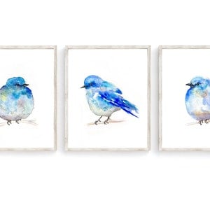 Three Little Birds Blue, Watercolor Print, Art Print set, Mountain Bluebird, Bird Art, Bird Painting
