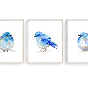 Three Little Birds Blue, Watercolor Print, Art Print set, Mountain Bluebird, Bird Art, Bird Painting