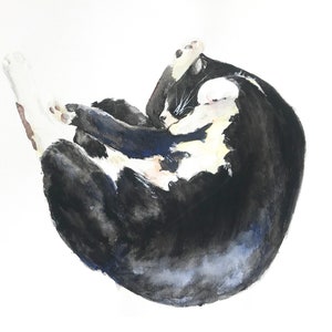 Ilustración de gato, impresión de acuarela, pose de gato durmiendo uno, gatos, impresión artística, ilustraciones de gatos, bellas artes