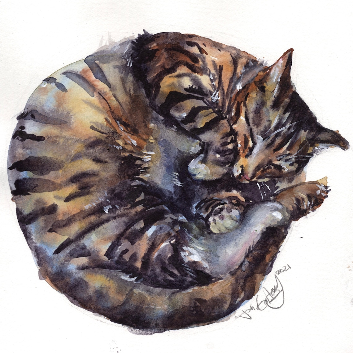 Brown Tabby Cat Watercolor Art Print - Cat Lover Gift - Etsy