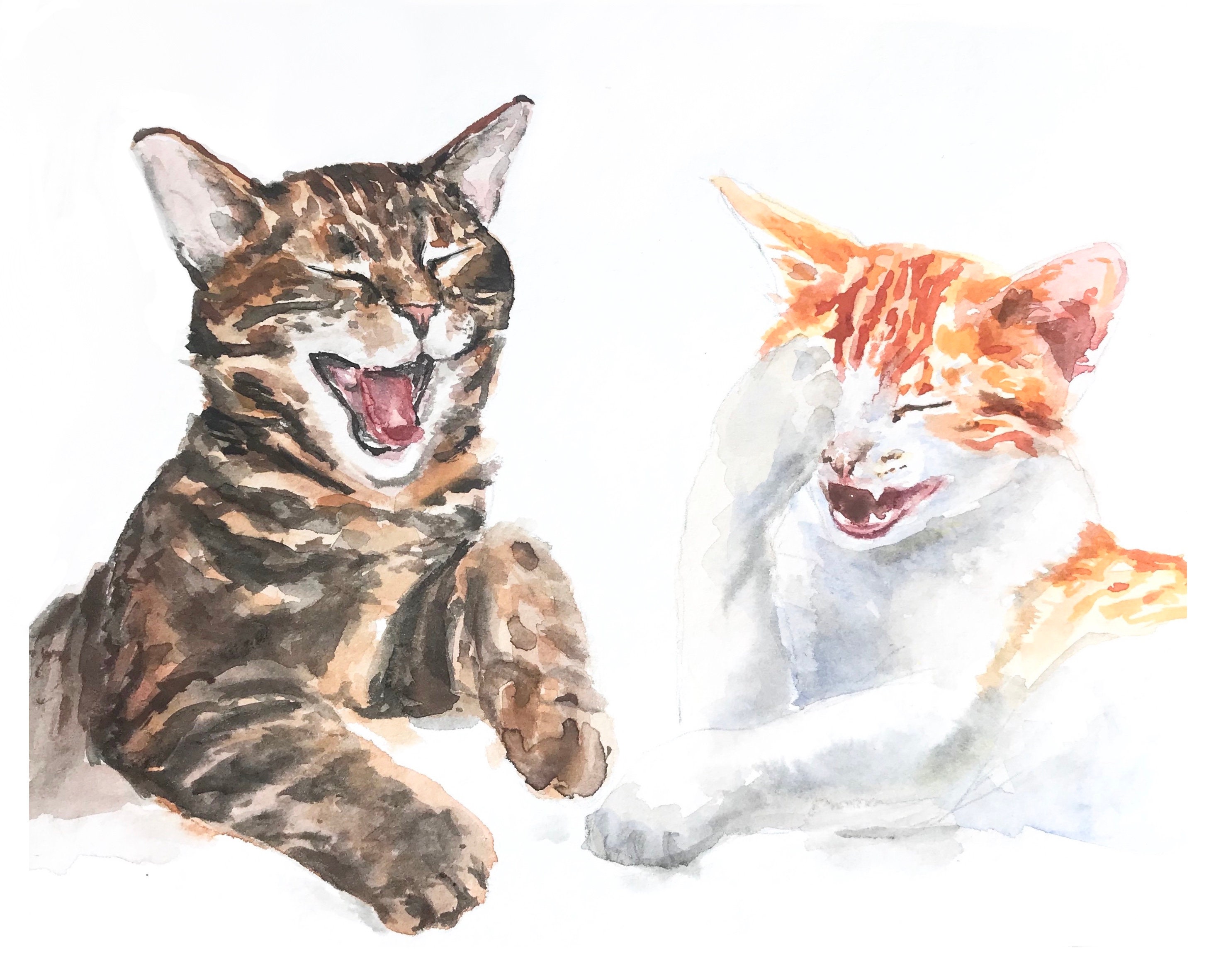 Cat Art Laughing Cats Fun Art Art for Childrens Room Etsy