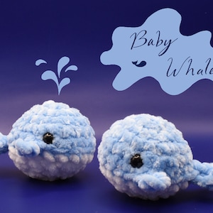 Baby Whale