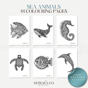 44 Sea Animals Colouring Collection, Printable Coloring Book Pages for Adults and Kids, Printable PDF File, Instant Digital Download