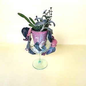 Houseplants, Live VARIOUS succulent mix potted into Vertical garden clear glass