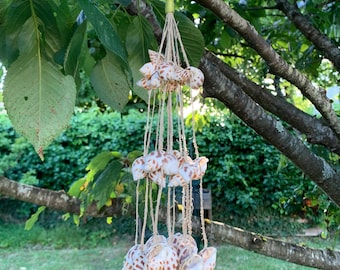 Carillon coquillage