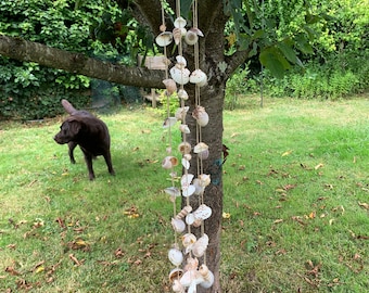 Carillon coquillage