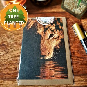 Lion Greetings Card, Big Cat Wildlife Card, Recycled Greeting Card, One Tree Planted Card, Eco Friendly Greetings Card, Cards For Wildlife