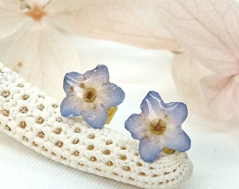 Vergissmeinnicht Ohrringe, echte Blume Ohrringe, Blaue Blume Schmuck, gepresste Blume Ohrringe, kleine Stahl Ohrringe, getrocknete Blumen Schmuck
