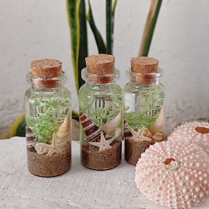 Underwater Scene in a Bottle, Bottled Ocean magnet, Bottle with Seashells, Nautical Kitchen Decoration, Beach House Ornament, coastal style