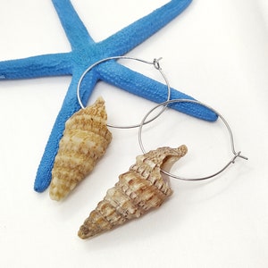Huggie hoop earrings, Silver hoop earrings, seashell earrings, shell earrings, ocean jewelry, marine earrings, sea lovers gift, sea earrings