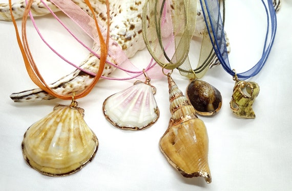 Natural seashell best sale jewelry