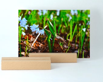 Platzkartenhalter Etsy
