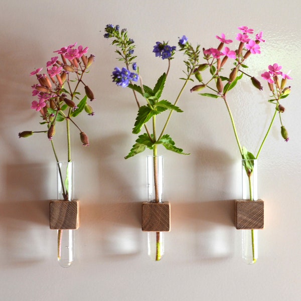 Support de vase magnétique en bois de noyer / vase à fleurs / support de tube à essai / aimants de réfrigérateur / aimants en néodyme / aimants en bois / vase / vase en bois