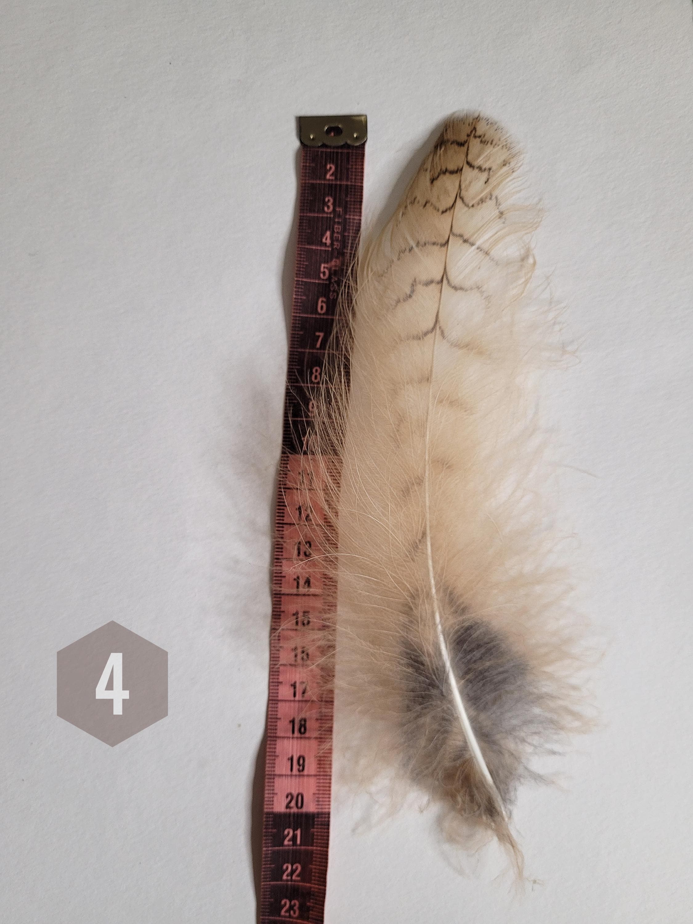 フクロウの羽20枚使用ドリームキャッチャー