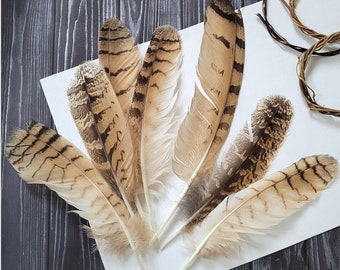 Rare Feathers Eagle Owl Hat Feathers Hair Feathers