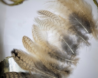 Molted Natural feathers of live Eagle owl, feathers for crafting,for hat for dream catcher