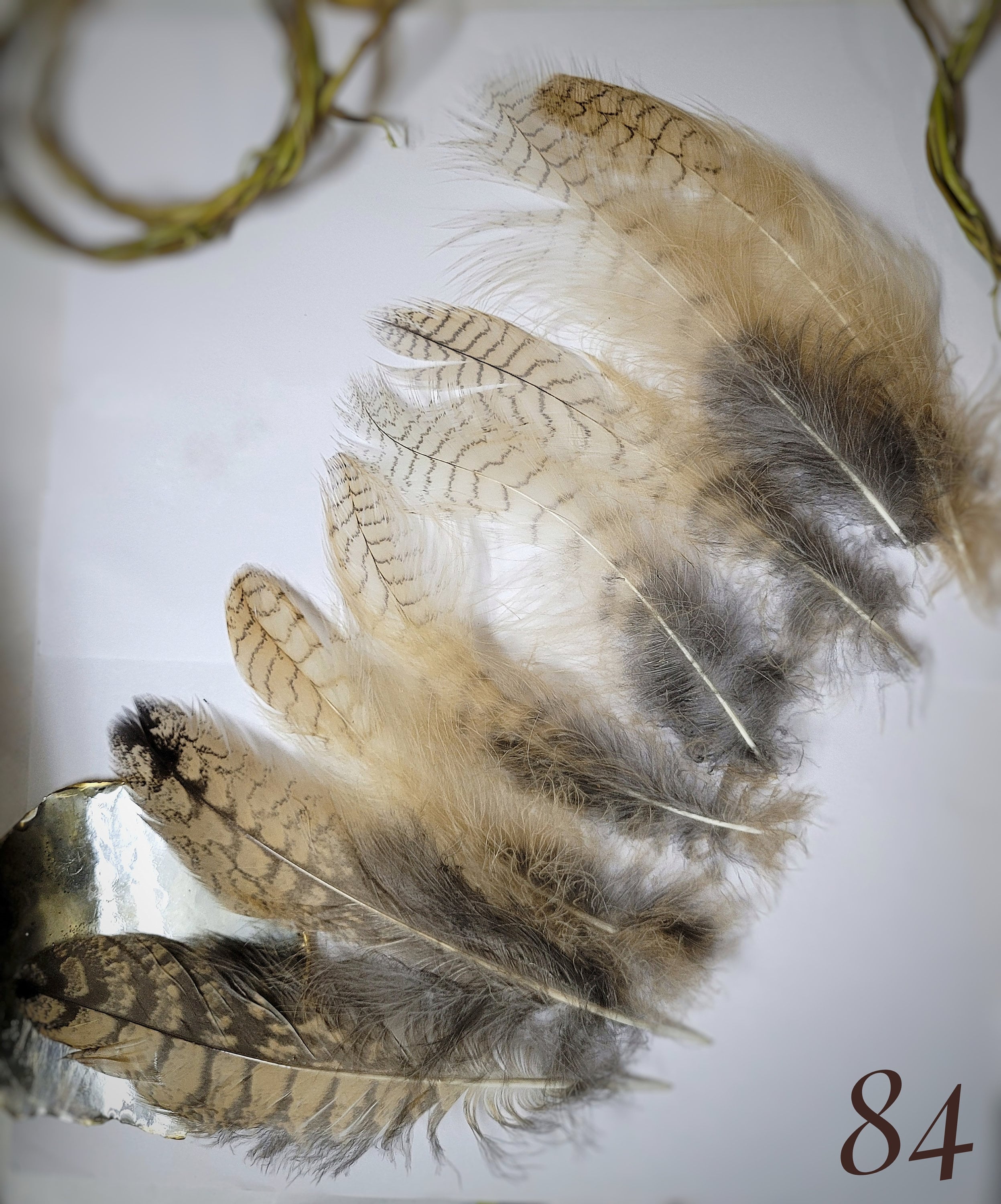 Molted Natural feathers of live Eagle owl, feathers for crafting,for hat for dream catcher