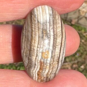 May include: An oval-shaped, polished stone with a striped pattern in shades of beige, brown, and tan. The stone is held between fingers, showcasing its smooth, textured surface. The stone's natural colors and patterns are highlighted.