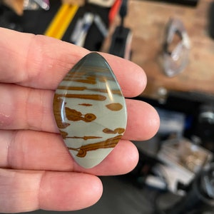 Owyhee Jasper Picture Jasper